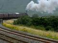 leander at ribblehead