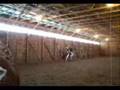 Shylo Update (1 week after bucking fiasko)