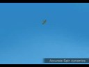 Phoenix simulator
