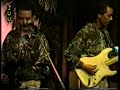 TICO TICO