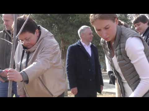 Просмотр видео