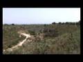 Finca en Mas de Barberans. Ref CP_565