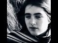 The Magnetic Fields - Zebra