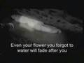 you and end (sen ve son) by senai demirci