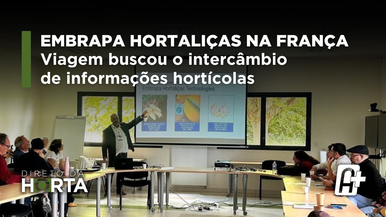 Embrapa Hortaliças organiza missão à França com foco no intercâmbio de informações hortícolas