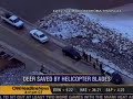 TV Helicopter Pilot Saves Stranded Deer ON ICE