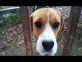 Prototype - XPERIA X10 video sample 800x480 (WVGA) MPEG4. techblog.gr