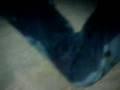 videos de PEDO Y EN CASA AGENA