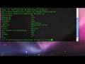 Terminal Lesson 9
