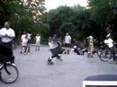 Roots video-CPDSA-Blacksheep Roots video-CPDSA-Blacksheep