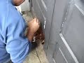 Cachorro entalado