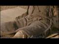 Assistir ao v�deo