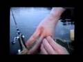 Hecht an der Hand = Auuuuuua, Auuuuuua