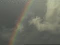 Regenboog