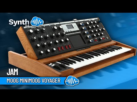 moog minimoog