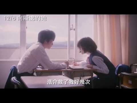 12/6【向陽處的她】中文預告 - 上野樹里篇