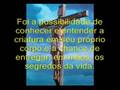 FELIZ PÁSCOA I