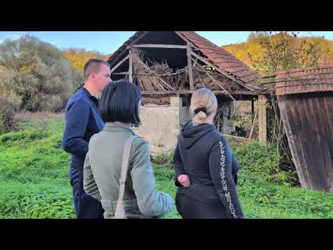 Problem s psima u naselju Marinci