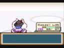 Touhoumon - Celadon Gym