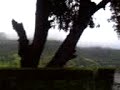 Journey to Malvan Vol 5 Journey to Malvan Vol 5