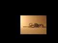 Forensic Anthropology