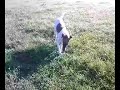 Cliquez pour voir la vid�o
