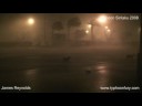 Dog Mayem - Dogs Go Crazy During Severe Storm