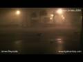 videos de Dog Mayem - Dogs Go Crazy During Severe Storm