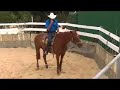 Making a Horse Stand Still Making a Horse Stand Still