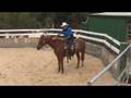 Making a Horse Stand Still