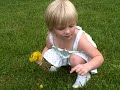 Becca Picking Dandelions