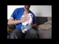 Comment Faire Roter Bébé ?