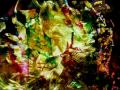 Stan Brakhage -  The Dante Quartet!!!