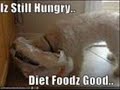 loldogs