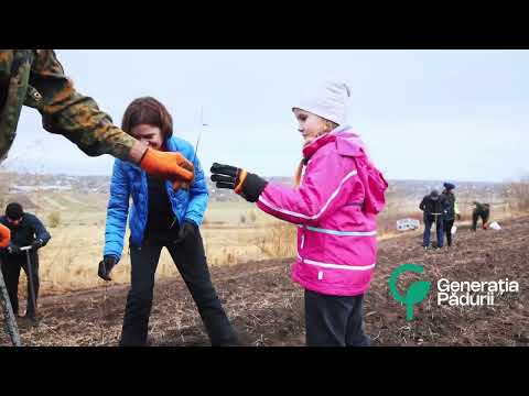  В Международный день окружающей среды глава государства отметила необходимость лесонасаждения и наградила ряд сотрудников Агентства „Moldsilva” и предприятий лесного хозяйства медалью „Meritul Civic”