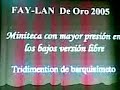 sampler copa fay lan 2005 dj alexander miniteca terremoto