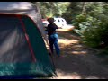 Teenage bigfoot caught on video Teenage bigfoot caught on video