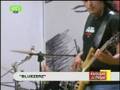 The Bluezerz WINTER ROSE ET1.avi