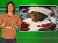Telurica TV 280 - Flashmob y politicos cochinos... LMAO!!!