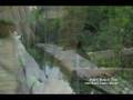 videos de Palm Beach Zoo - West Palm Beach, Florida