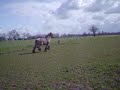 Mieke 16 april... Free to run!