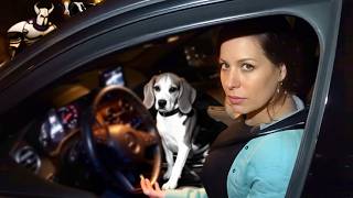 BossyBoots Takes FULL Control of Her DUI Regrishtation!