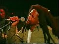 natty dread int. in israel
singing party party
with al anderson(from the wailers)
