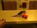 videos de Scooter 2.MOV