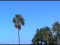 A World in Peril.mov