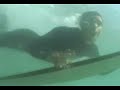 Tom Hill video 3