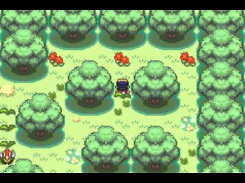 how to get cut in x pokemon