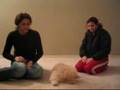 Caniche video