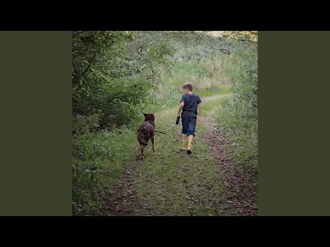 YouTube Preview Image