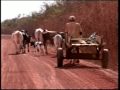 seca na zona rural de mossoro - jd2 - 09-12-09.wmv